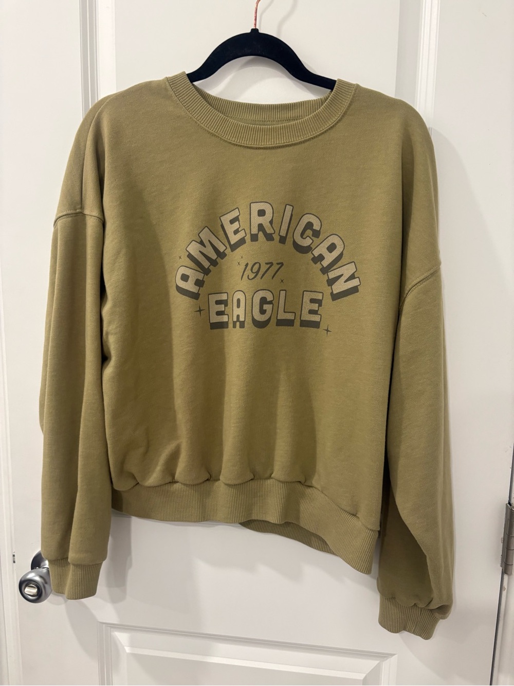 American Eagle Outfitters Olive Graphic Crew Sweatshirt